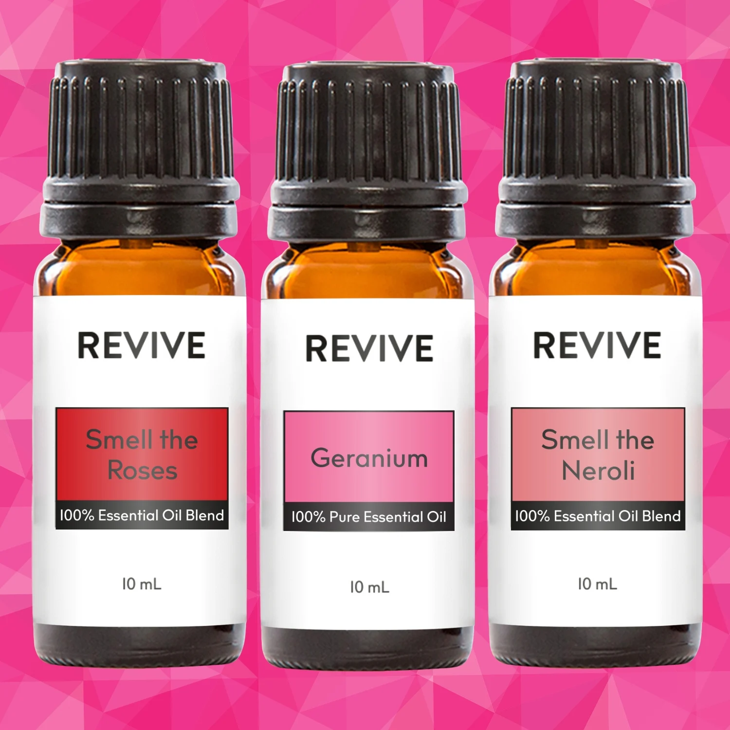 REVIVE Winter Box 2023