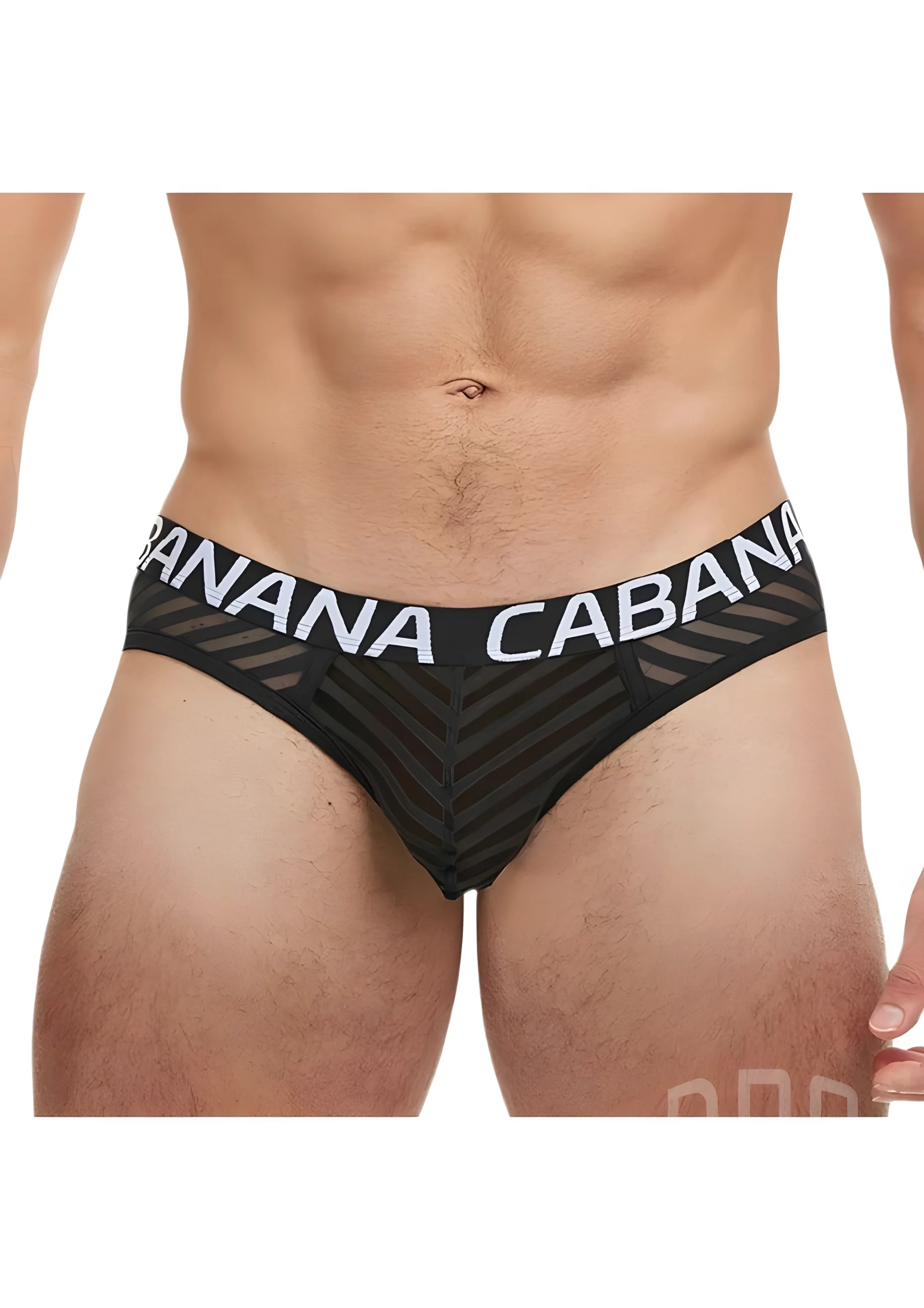 Banana Cabana Sheer Euro Bikini Brief Medium Large