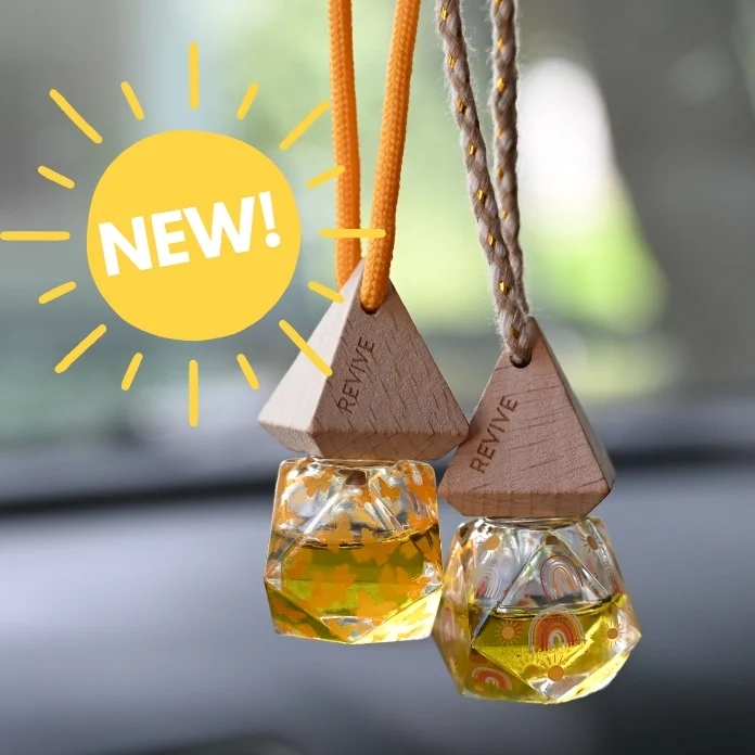NEW: Rainbow & Butterflies Crystal Hanging Diffuser Twin Pack