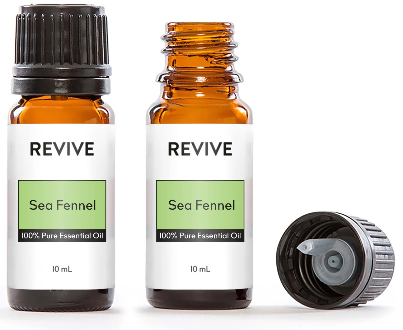 Sea Fennel