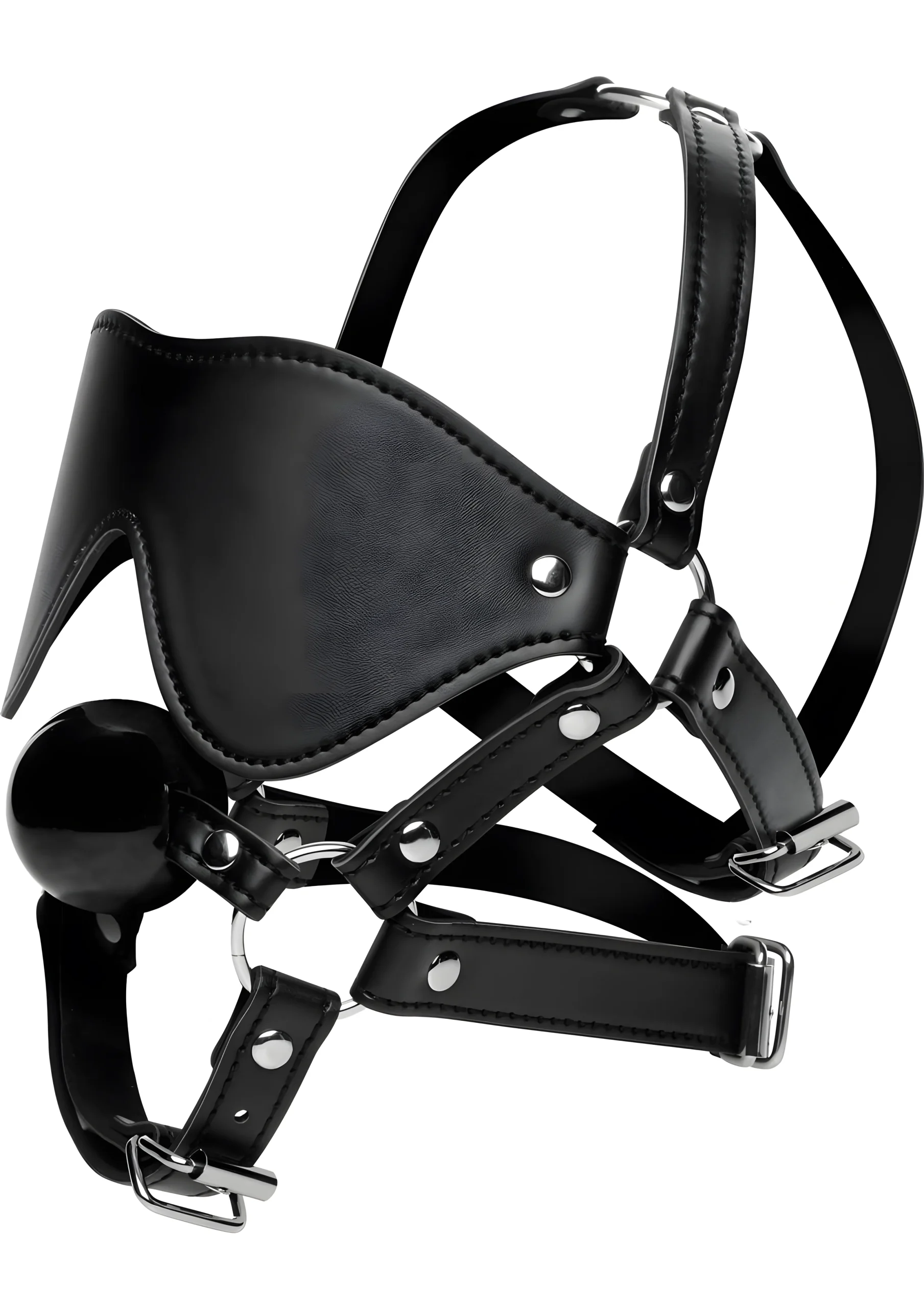 Blindfold Harness and Gag