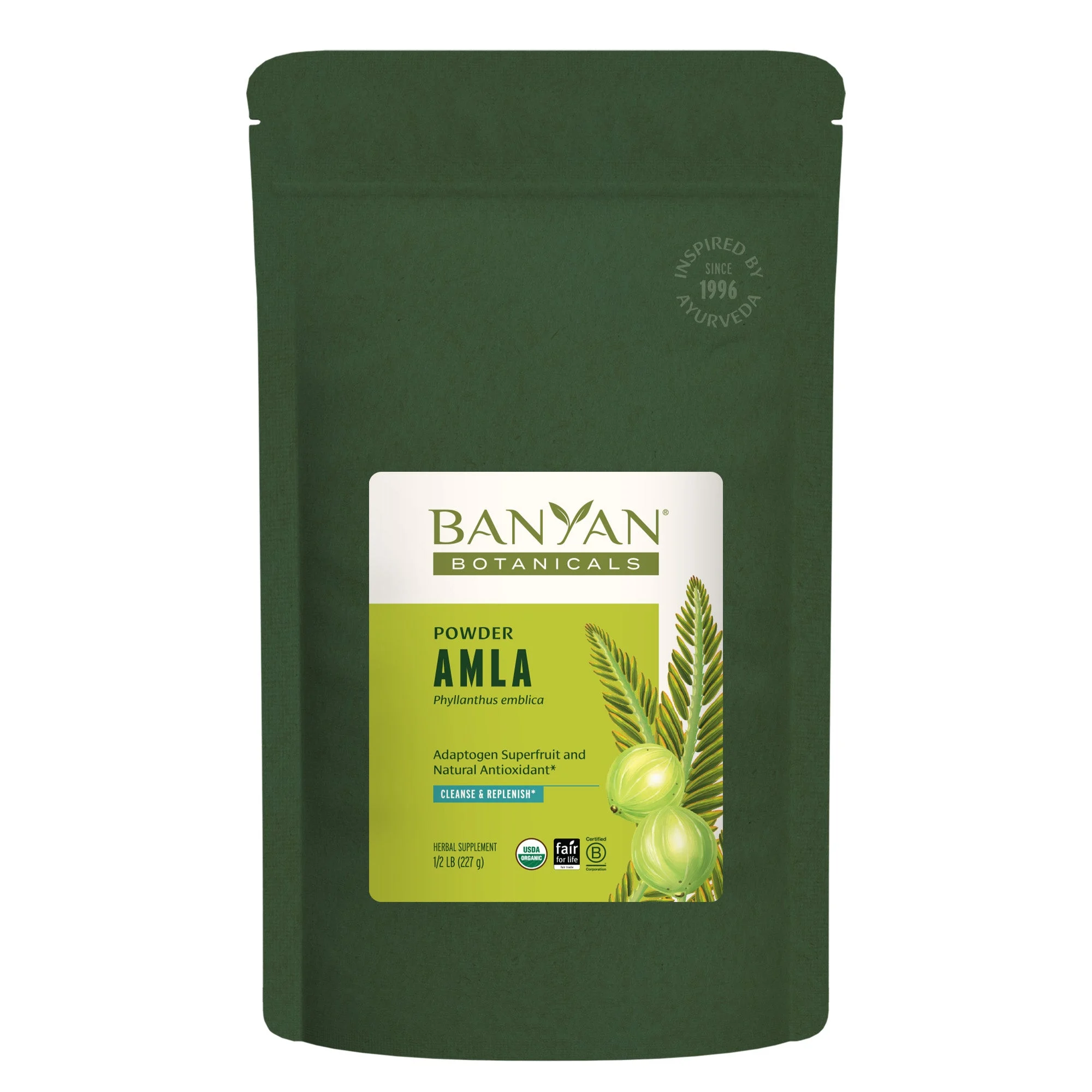 Amla (Amalaki) powder