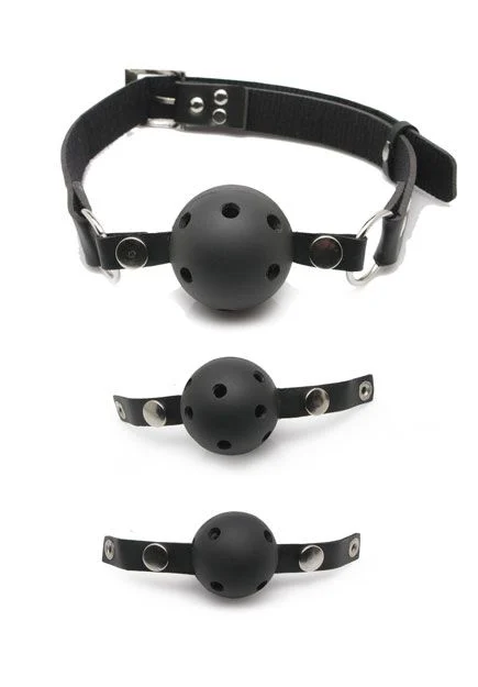 Ball Gag Training System