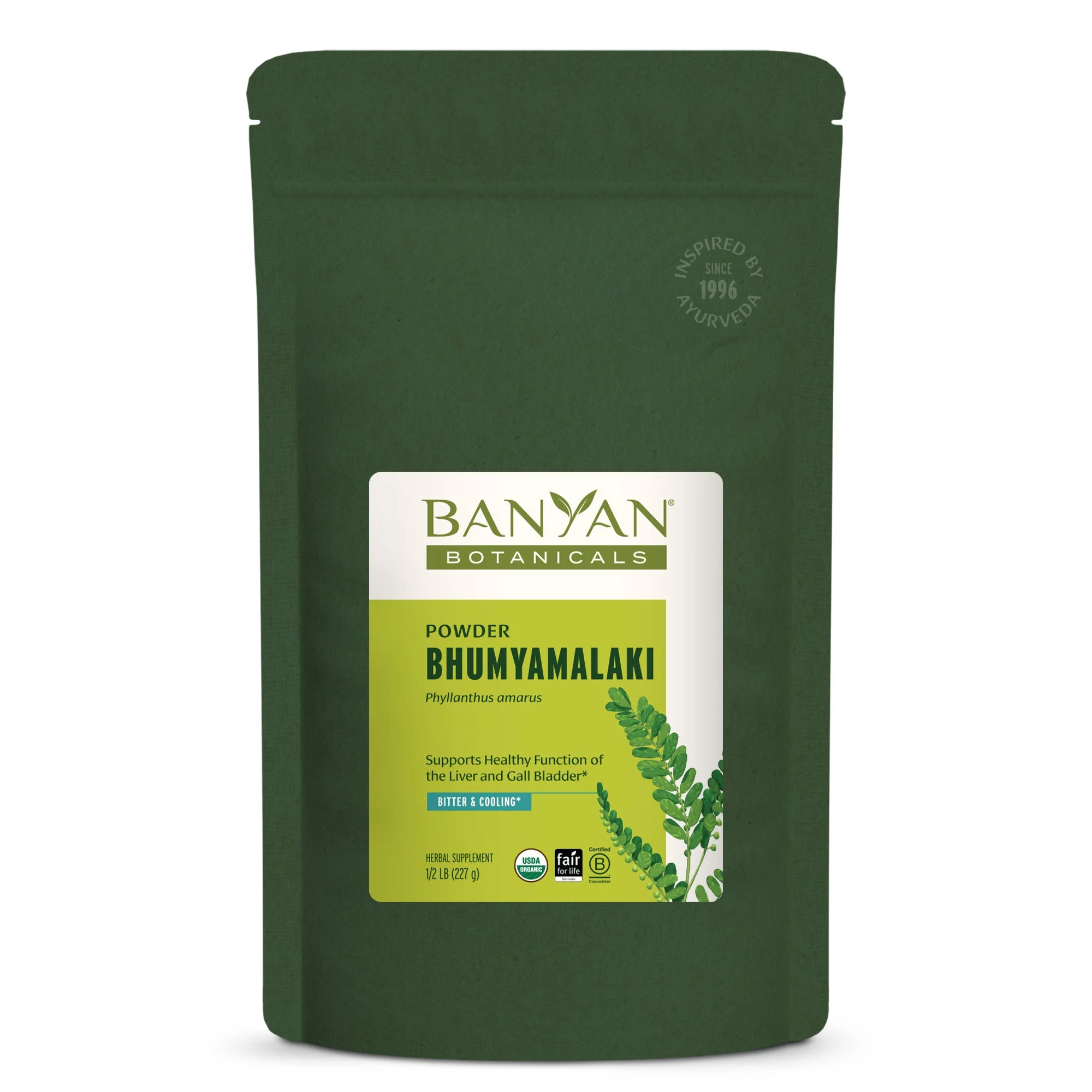 Bhumyamalaki powder