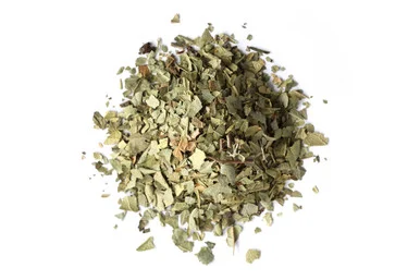 Boldo Leaf Organic