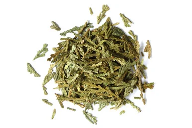 Cedar Leaf