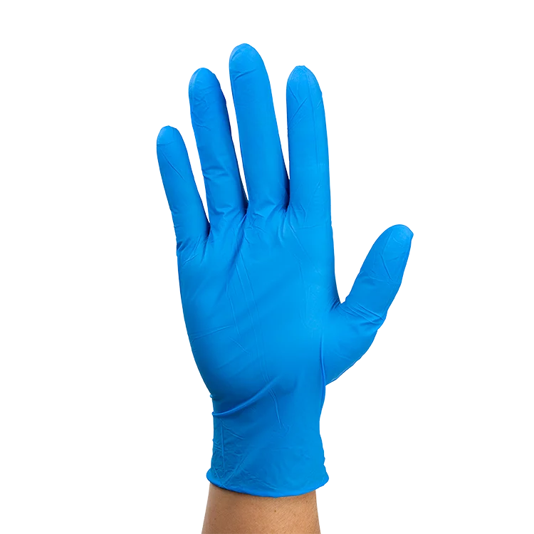 Dynarex Nitrile Exam Gloves In A Bag - Large Powder-Free, Blue - 1pr/bag, 500bgs/cs (500 Pairs)