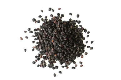 Elder Berries Organic