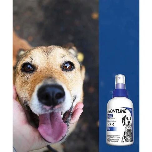 Frontline Express Spray for Dogs and Cats