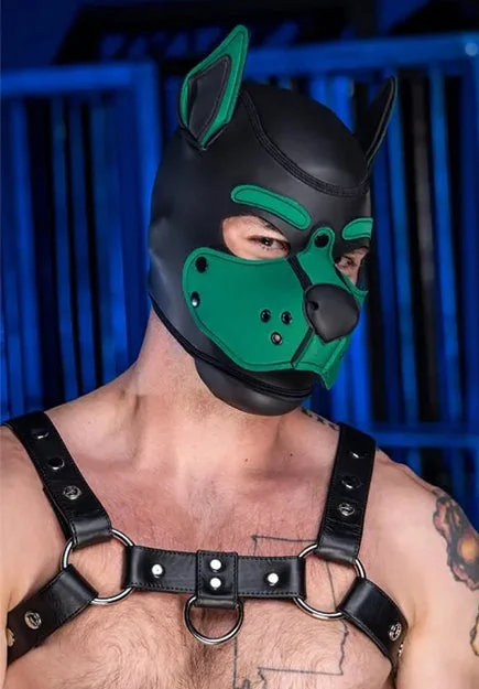 K9 Neoprene Hood
