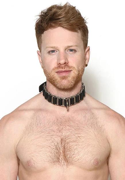 Leather Collar Looped with D-ring