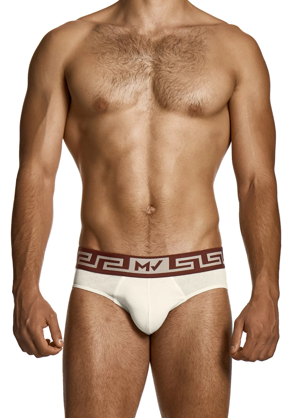 Linen Classic Brief