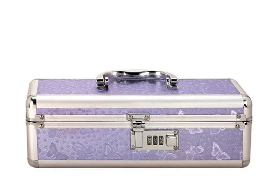 Medium Lockable Vibrator Storage Case