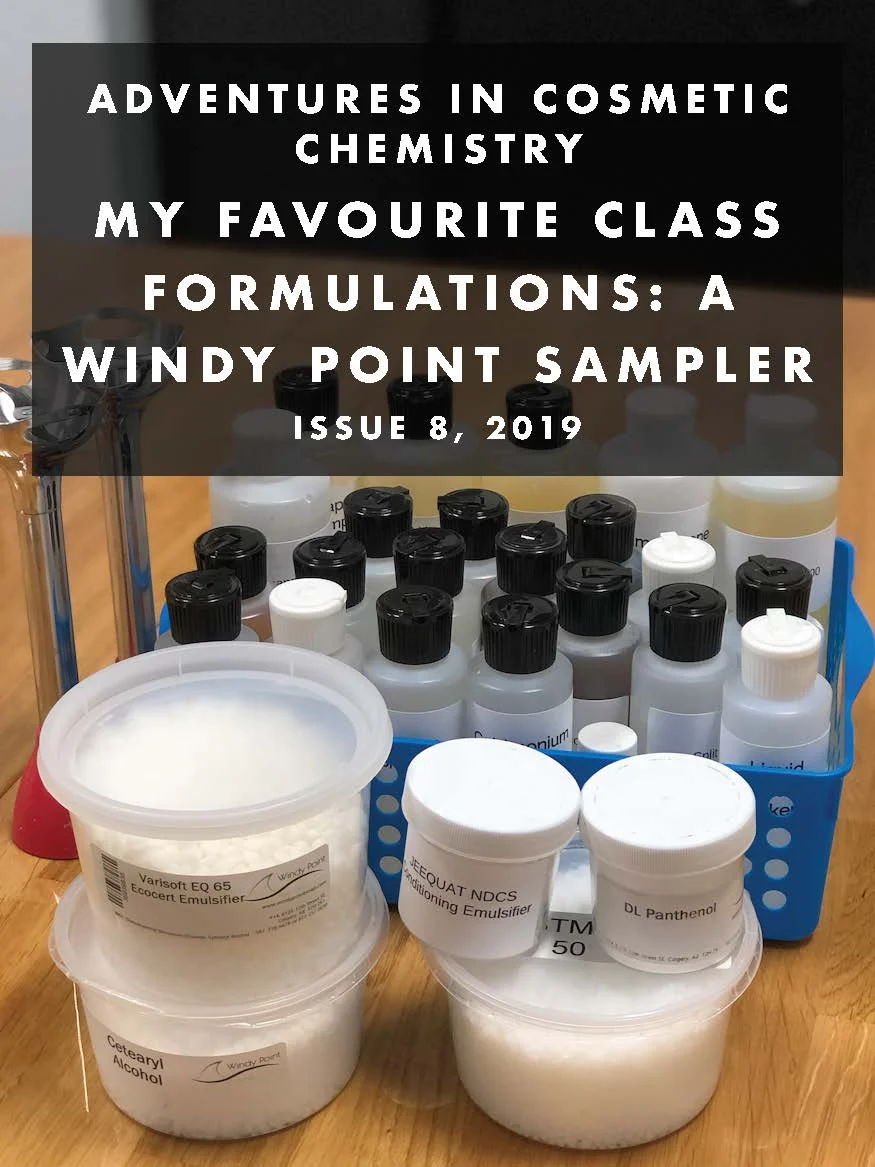 My Favorite Class Formulations: A Windy Point Sampler e-Zine