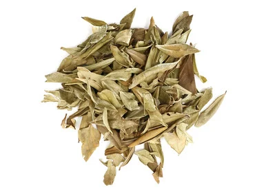 Myrtle Leaf Organic