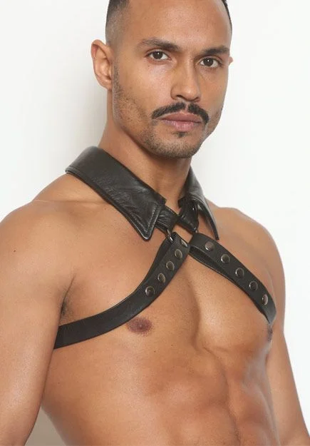 O-Ring Collar Half-Harness