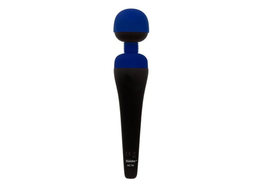 PalmPower Rechargeable Wand Massager