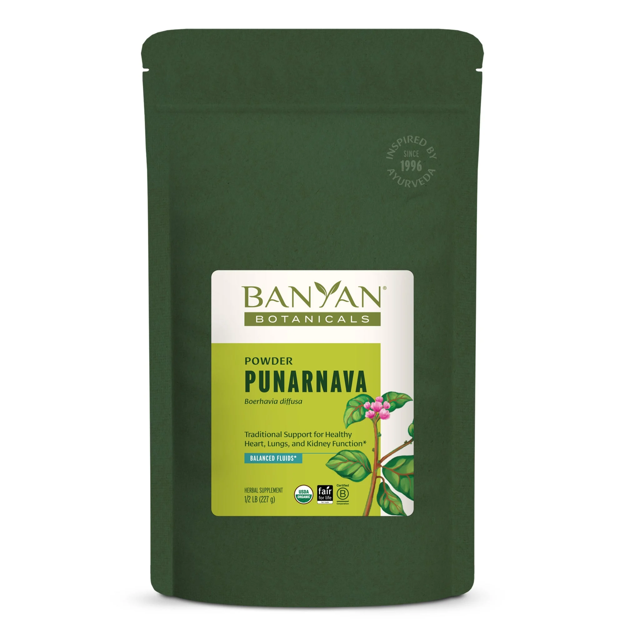Punarnava powder
