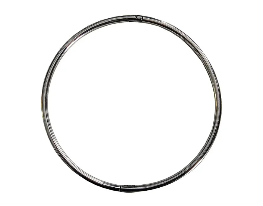 Rouge Stainless Steel Lockable Infinity Thin Collar