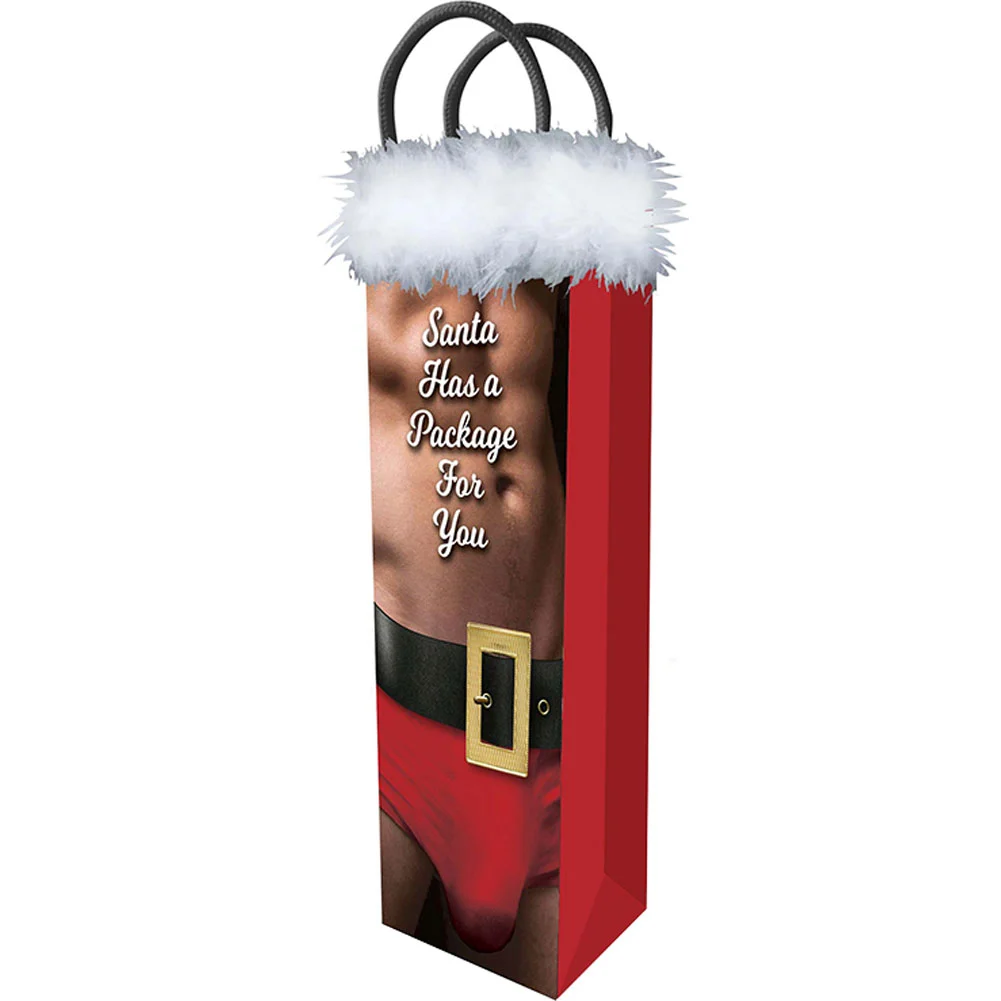 Santa Has A Big Package For You Gift Bag