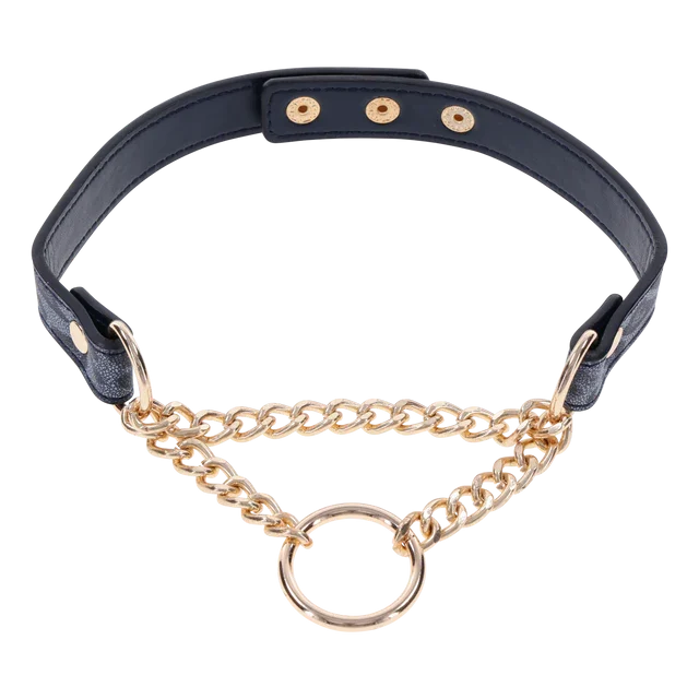 SEX AND MISCHIEF COUGAR DAY COLLAR