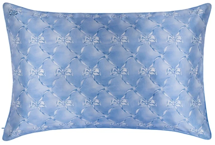 Slip Slip Pure Silk Pillowcase Queen